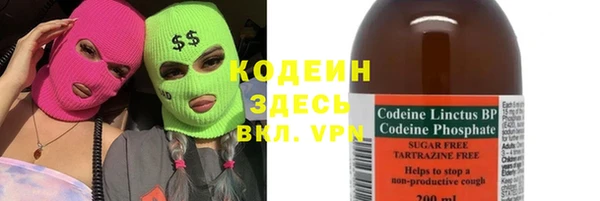 шишки Ачинск