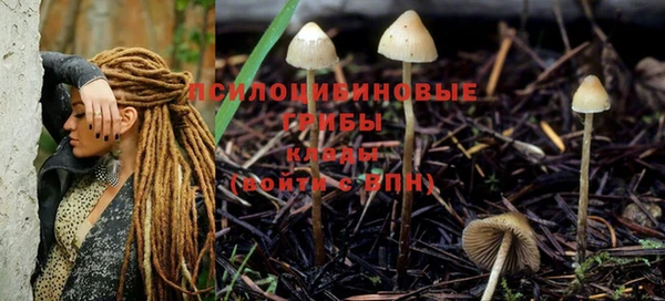 эйфоретик Магас