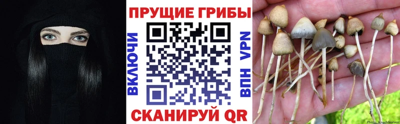 закладка  Усмань  mega зеркало  Галлюциногенные грибы GOLDEN TEACHER 